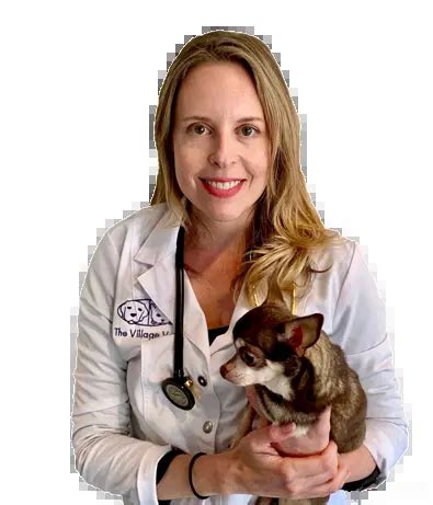 village vets of buckhead|Veterinarians and Animal Hospital in Decatur, GA .